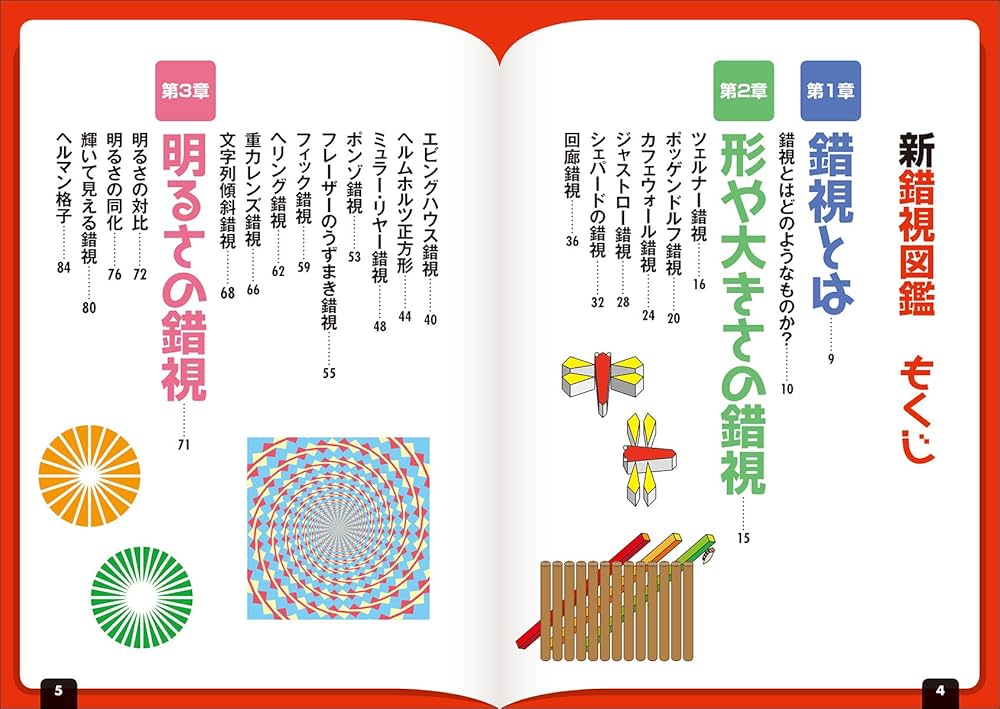 謎の世界　視覚の不思議 死後の世界を見た!? (3分でのぞく不思議・謎・怪奇) | 藤田 晋一